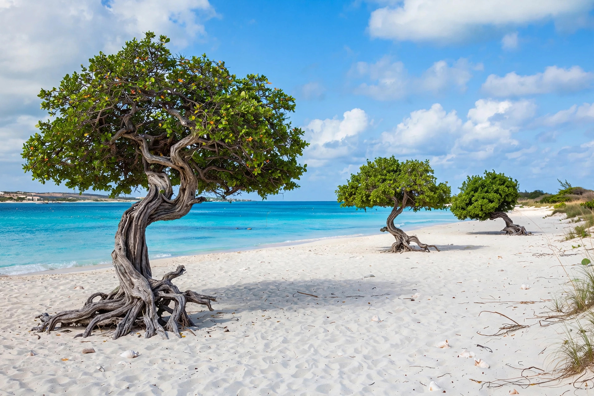 Eagle Beach Aruba, Aruba ED card for Indians
