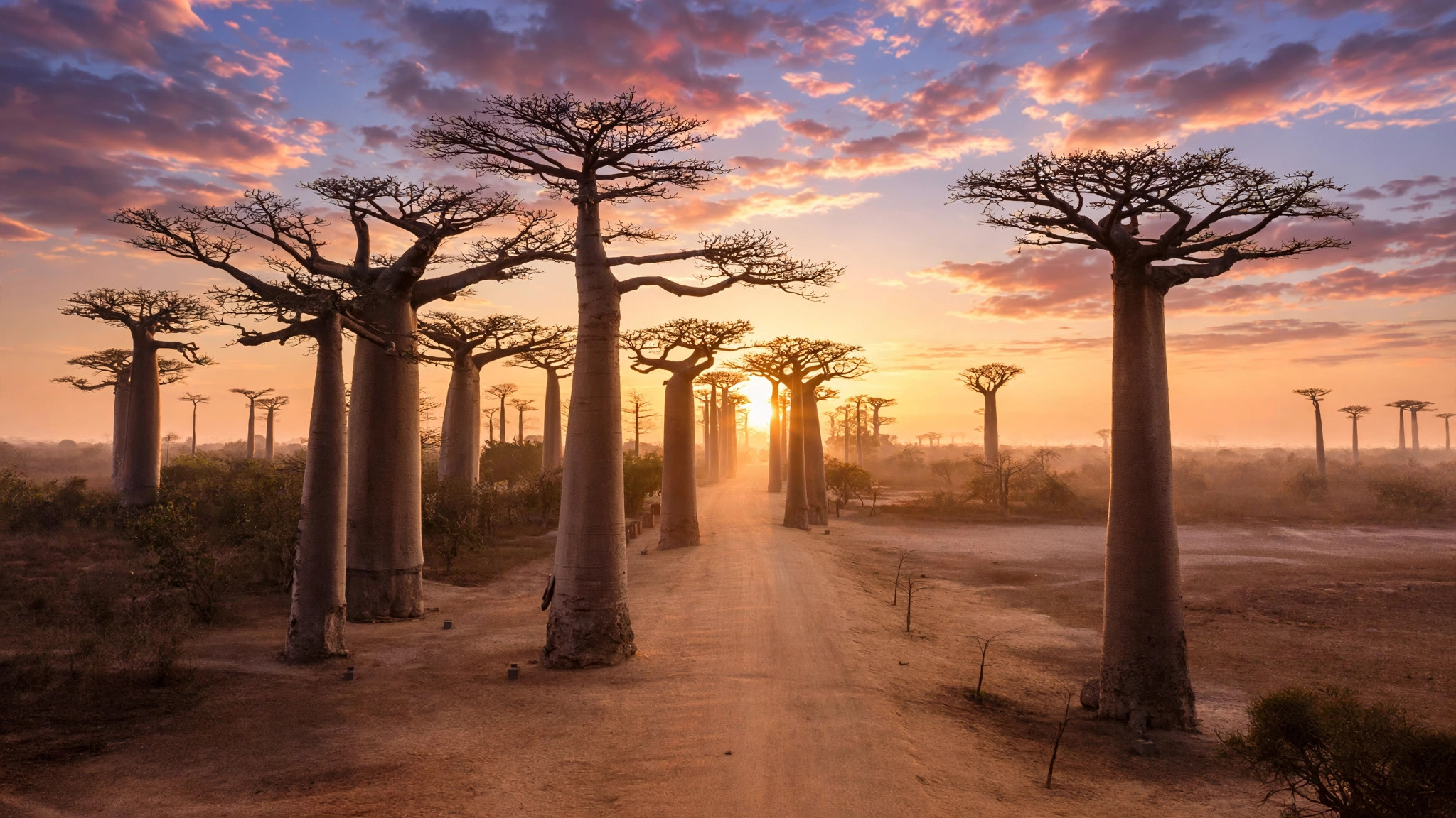 Avenue of the Baobabs, Madagascar e-visa for Indians