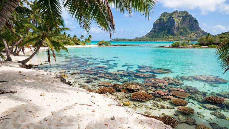 Mauritius Island Escape